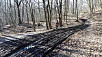 4072. Pilis, Visegrádi-hg. források - Csaba-kút LEÁNYFALU (5)