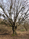 P1030484