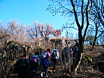 DSCF4398