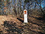 DSCF4332