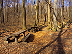 Piknikhely