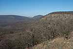 _DSC1573
