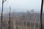4101_GCsrkn_11