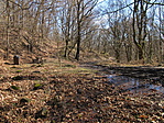 IMG_6220