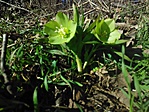 IMG_20160206_130535
