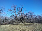IMG_20160206_131909