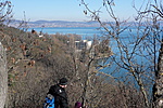 SDC10010