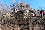 SDC10018