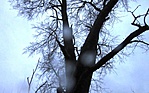 IMG_0756