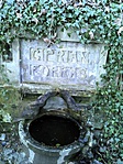 DSC00003
