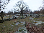 DSCF5621