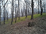 20160227_130242