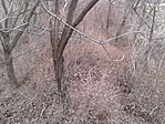 IMG_20160207_112912
