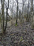 IMG_20160221_163129