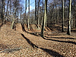 IMG_20160220_133407