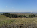 20160220_103412