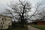 IMG_2765