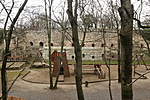 IMG_2787