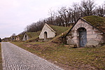 IMG_2806