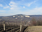 IMG_8595