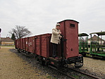 IMG_8735