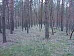 P1000126