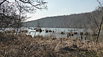P1100895