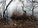 20160328-104612