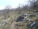 Asztal-kő