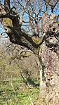 SAM_2905R