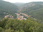 DSCN6050