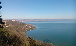 IMG_20160206_105511