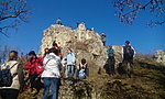 IMG_20160206_113617