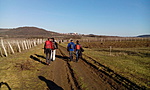 IMG_20160206_143830