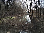 IMG_20160314_121646