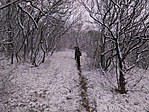 IMG_20160315_095037