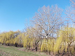 Kép 104