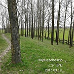 1344. KRÁTER-TÓ  NAGYHEGYES (11)