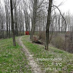 1344. KRÁTER-TÓ  NAGYHEGYES (12)