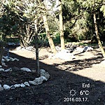 3116. Repülőtér a Hortobágy szélén DEBRECEN (5)