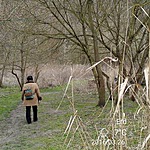 2439. Búbánatvölgyi tavak VISEGRÁD (4)