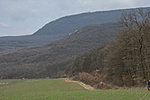 _DSC2007