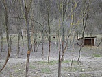 Muflonok