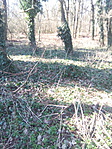 IMG_20160314_120240