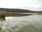 P3130401
