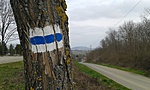 20160312_133932