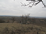 IMG_8490