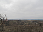 IMG_8491