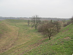 IMG_8651