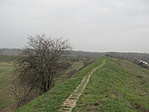IMG_8654